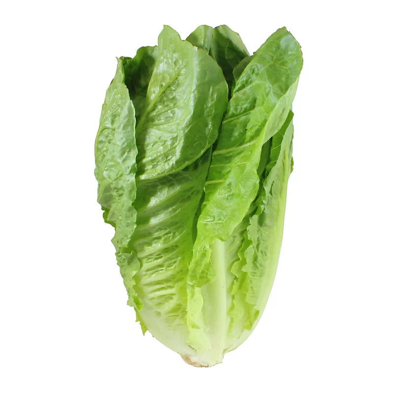 Fresh Organic Romaine Hearts 3ct