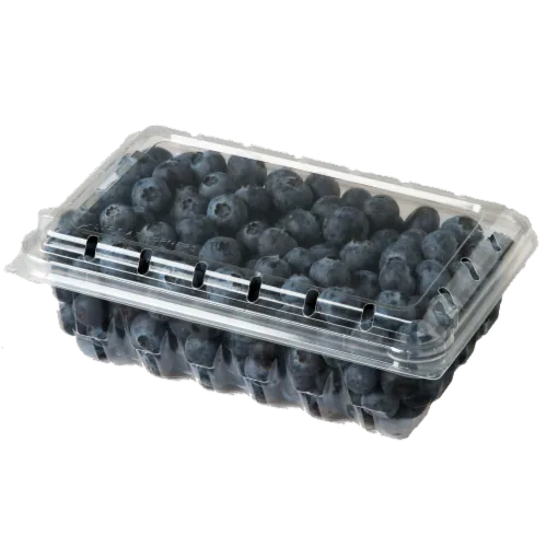 Fresh Blueberries 18oz