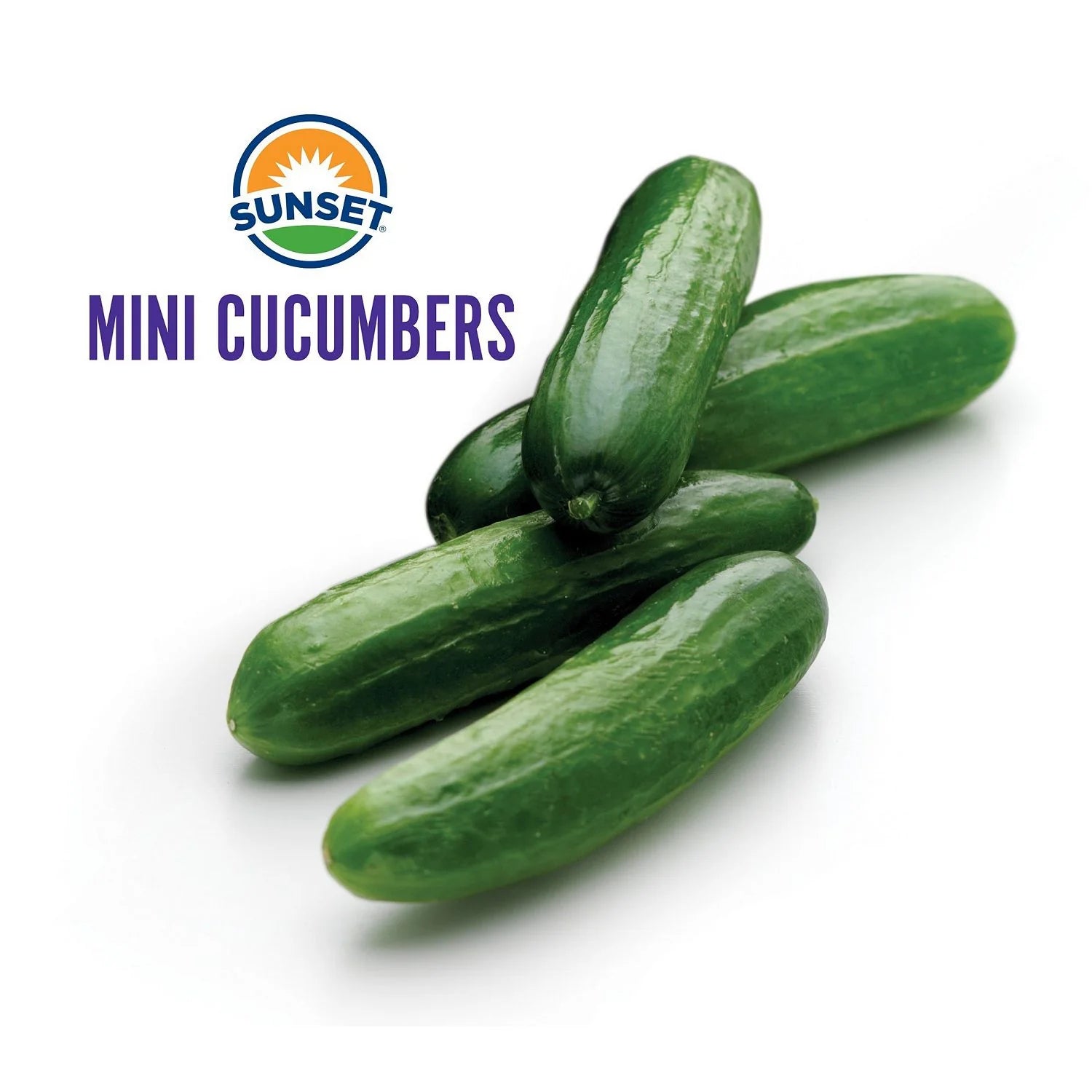 Sunset Mini Cucumbers 4ct