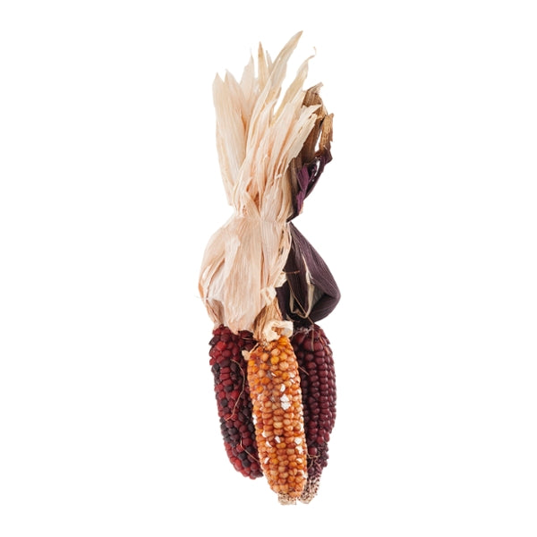 Mini Indian Corn 3ct