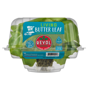 Revol Living Butter Leaf Lettuce ea