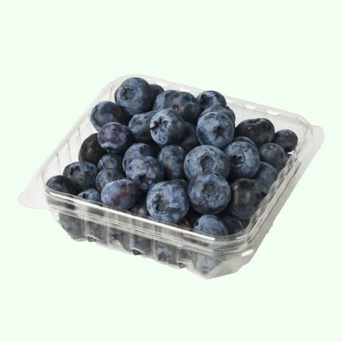 Fresh Blueberries 6oz