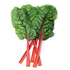 Fresh Swiss Chard