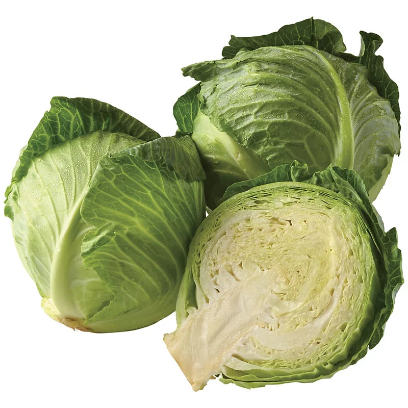 Fresh Cabbage 1ea