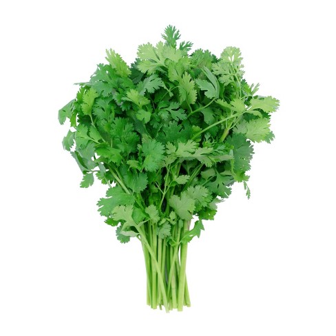 Fresh Cilantro Bunch ea