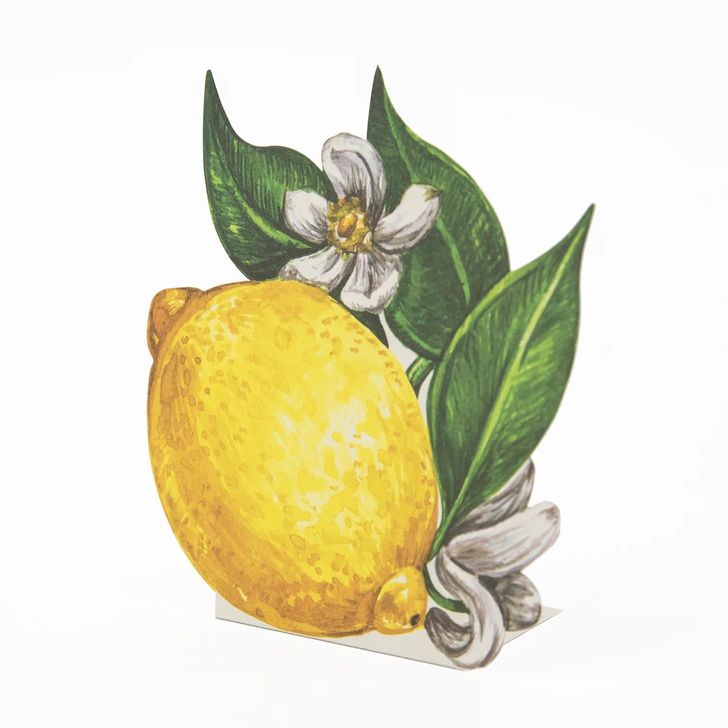 Hester & Cook Lemon Place Cards 12ct