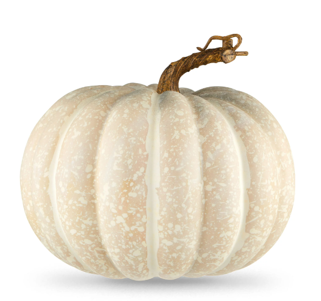 White Pumpkin 1ct