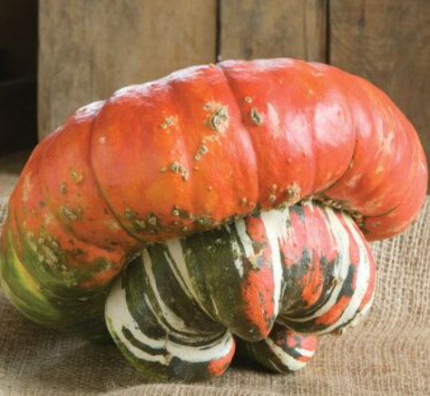 Ornamental Pumpkins 1ct