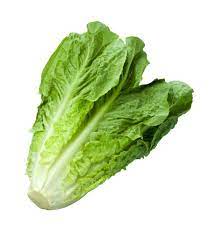 Fresh Artisan Romaine Lettuce 1ct