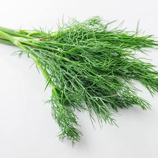 Fresh Dill