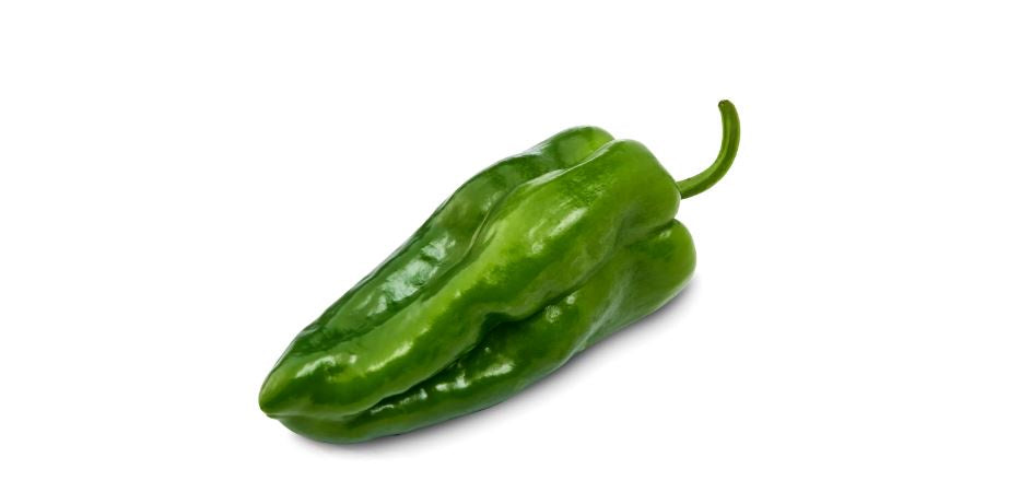 Fresh Poblano Pepper 1ct