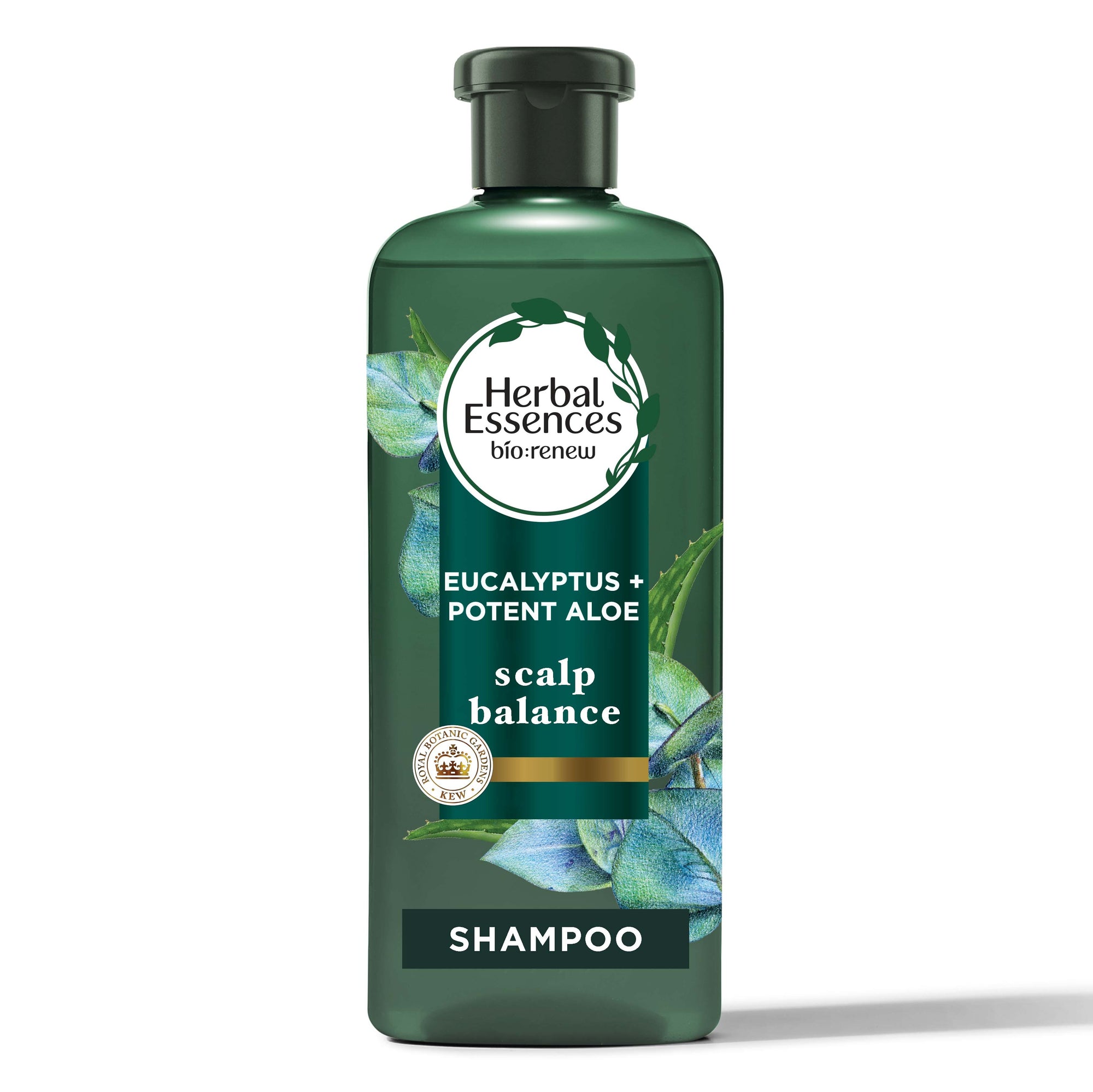 Herbal Essences Bio:renew Potent Aloe & Eucalyptus Shampoo 13.5fl oz